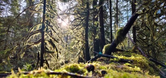 New Year/New beginnings done right